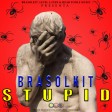 Stupid - Brasolkit
