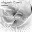 Magnetic cosmos
