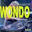 Wondo mix