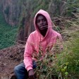 KingsMainaMSsteve - Pretty Purity  2026