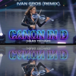 Canon in D (Hard Techno) - Ivan Gros Remix