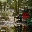 Zach C - Zach Bryan - If They Come Lookin'