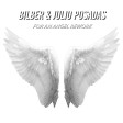 Bilber & Julio Posadas - For An Angel Rework