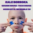 KALE BORROKA