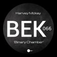 Harvey Mckay - Binary Chamber