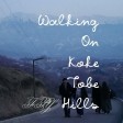 Walking on Koke Tobe Hills