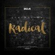 Barak - Generación Radical