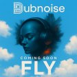 Dubnoise Fly – Upcoming Release Promo Test