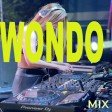 Wondo mix