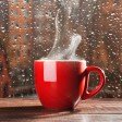 METATOR - Tardes de lluvia (Rainy afternoons)