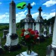Red Roses (ZoNoReTiC Remix)