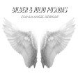 Bilber & Julio Posadas - For An Angel Rework