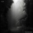 Forest house ambient