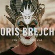 Boris Brejcha STARTING @2025 MIX - THE BEST OF BORIS BREJCHA
