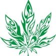 fuerte como marihuana vol.2