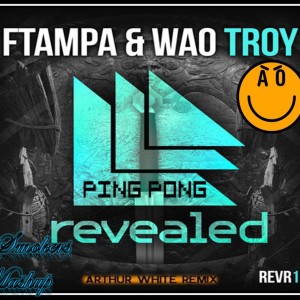 Ping Troy (Dj Smokers Mashup)