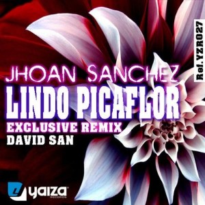 Lindo Picaflor - David San (Remix)