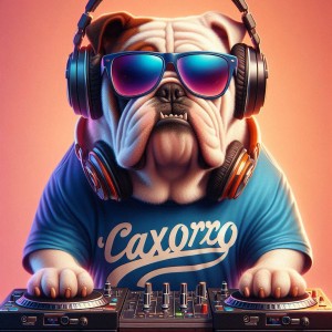 Remember febrero 2026