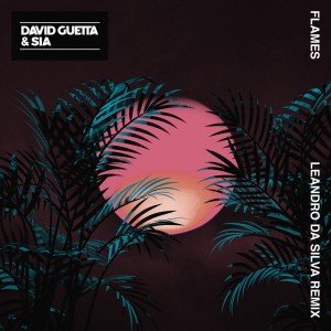 David Guetta & Sia - Flames (Leandro Da Silva remix) - Promo