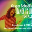 Gaspar Bobadilla_Dance Is Life Totally 116_Deephouse & EDM Mix