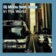Dj Manu A. Ft. Irene - In this world (A1)